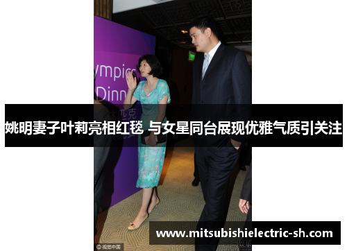 姚明妻子叶莉亮相红毯 与女星同台展现优雅气质引关注