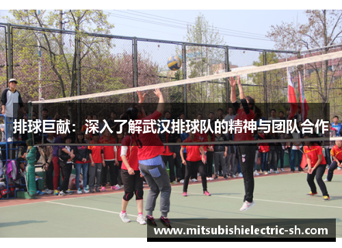 排球巨献：深入了解武汉排球队的精神与团队合作