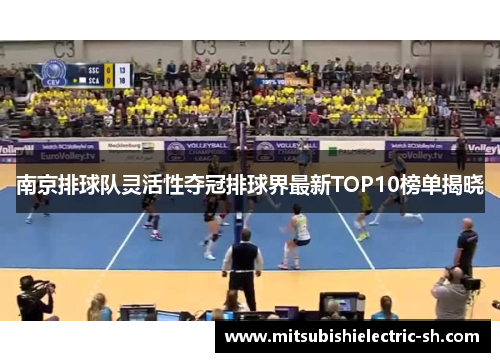南京排球队灵活性夺冠排球界最新TOP10榜单揭晓