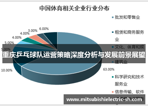 重庆乒乓球队运营策略深度分析与发展前景展望
