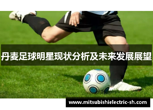 丹麦足球明星现状分析及未来发展展望