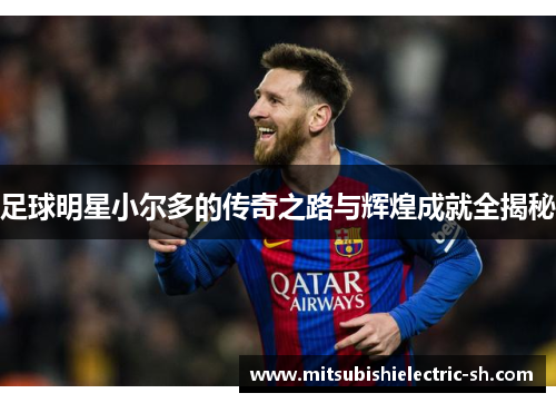 足球明星小尔多的传奇之路与辉煌成就全揭秘