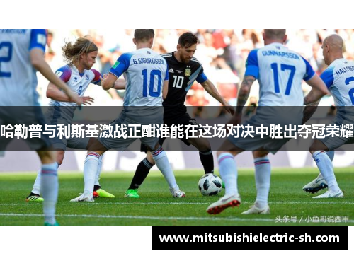 哈勒普与利斯基激战正酣谁能在这场对决中胜出夺冠荣耀